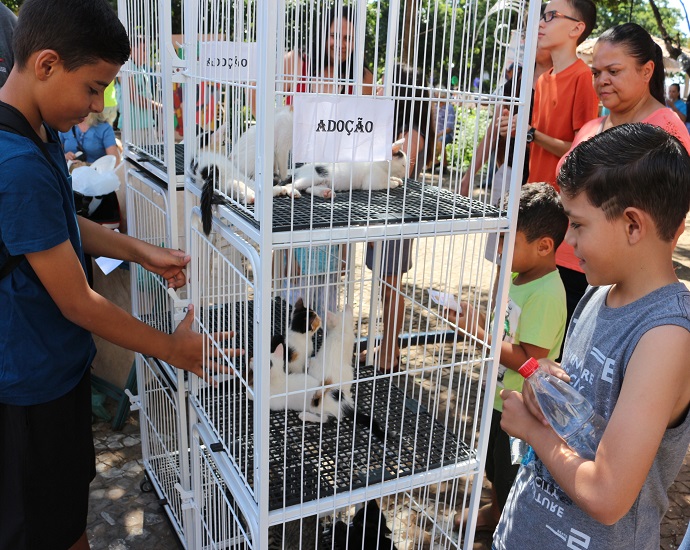 FOCINHOS:  Prefeitura e Turma dos Bichos vão realizar “Feira de Adoção de Animais” neste sábado 