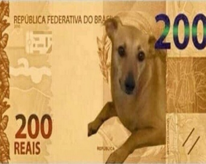 HOMENAGEM: vira-lata caramelo não estará na nota de R$ 200, mas Banco Central estuda ação com animal