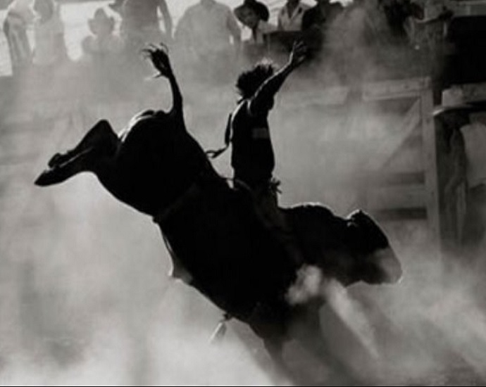 PULA BOI, PULA CAVALO: Country Bulls resgatará tradição das montarias em  cavalos
